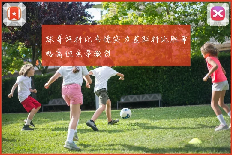 球哥评科比韦德实力差距科比胜率略高但竞争激烈