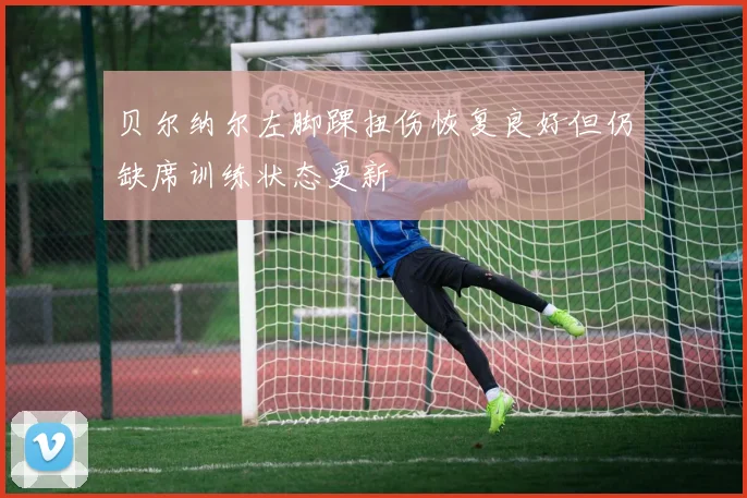 贝尔纳尔左脚踝扭伤恢复良好但仍缺席训练状态更新